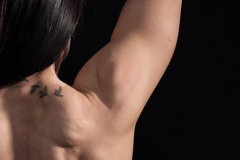 fit-19