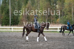 _DSC0451