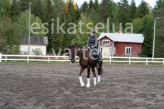 _DSC0454