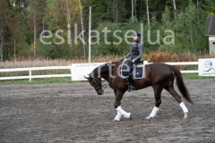 _DSC0477