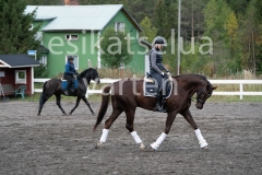 _DSC0489