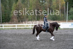 _DSC0513