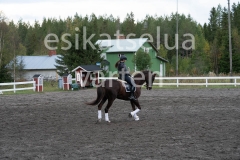 _DSC0551