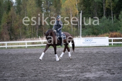 _DSC0570