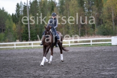 _DSC0571
