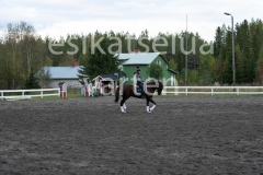 _DSC0583