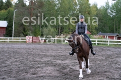 _DSC0586