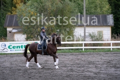 _DSC0589