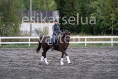 _DSC0590