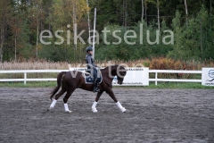 _DSC0597