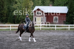 _DSC0600