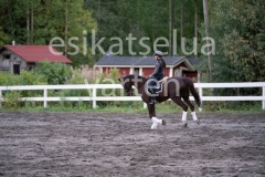 _DSC0610