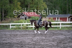 _DSC0611