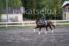 _DSC0614