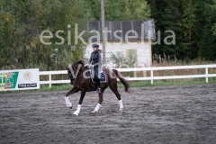 _DSC0616