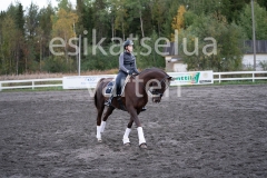 _DSC0617