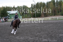 _DSC0627