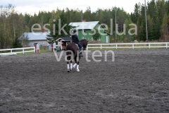 _DSC0639