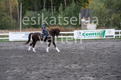 _DSC0645