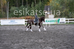 _DSC0646