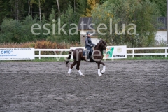 _DSC0647