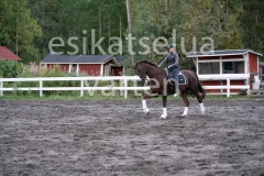 _DSC0649