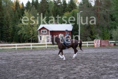 _DSC0651