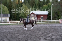_DSC0652