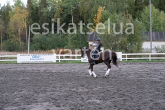 _DSC0653
