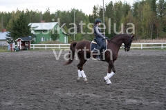 _DSC0658