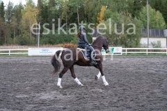 _DSC0659