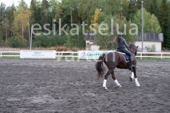 _DSC0660